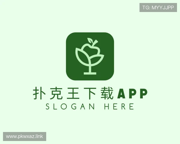 探究扑克王下载app